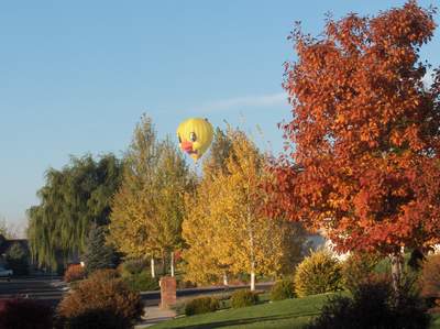 Balloons over Greeley